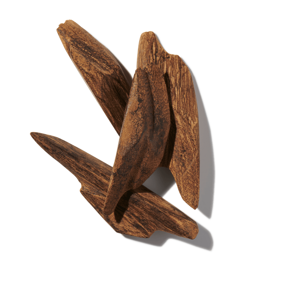 Oud