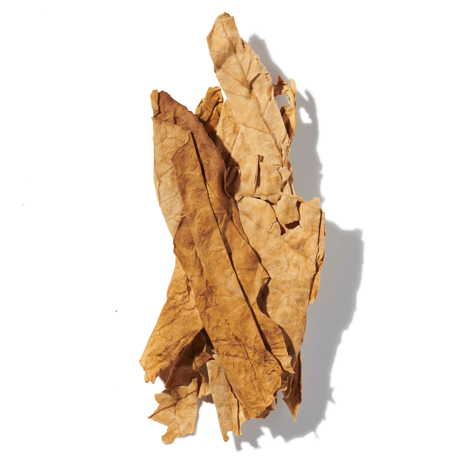 Tobacco Leaf