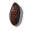 Tonka Bean