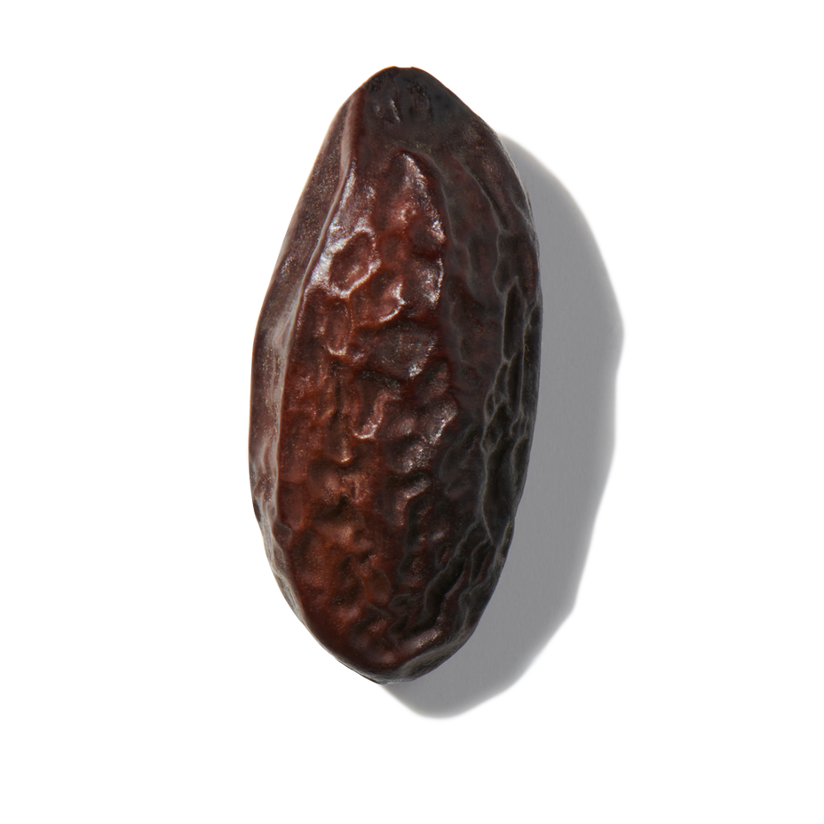 Tonka Bean
