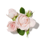 Turkish Rose