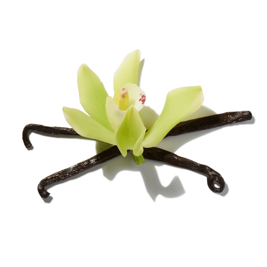 Vanilla Absolute