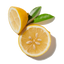 Yuzu