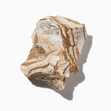 Ambergris duftnoter
