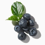 Blueberry duftnoter