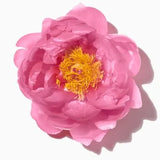 Camelia duftnoter