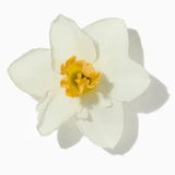 Cistus Flower duftnoter