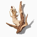 Driftwood duftnoter