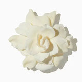 Gardenia duftnoter