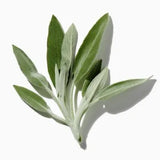 Herbal duftnoter