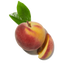 Nectarine