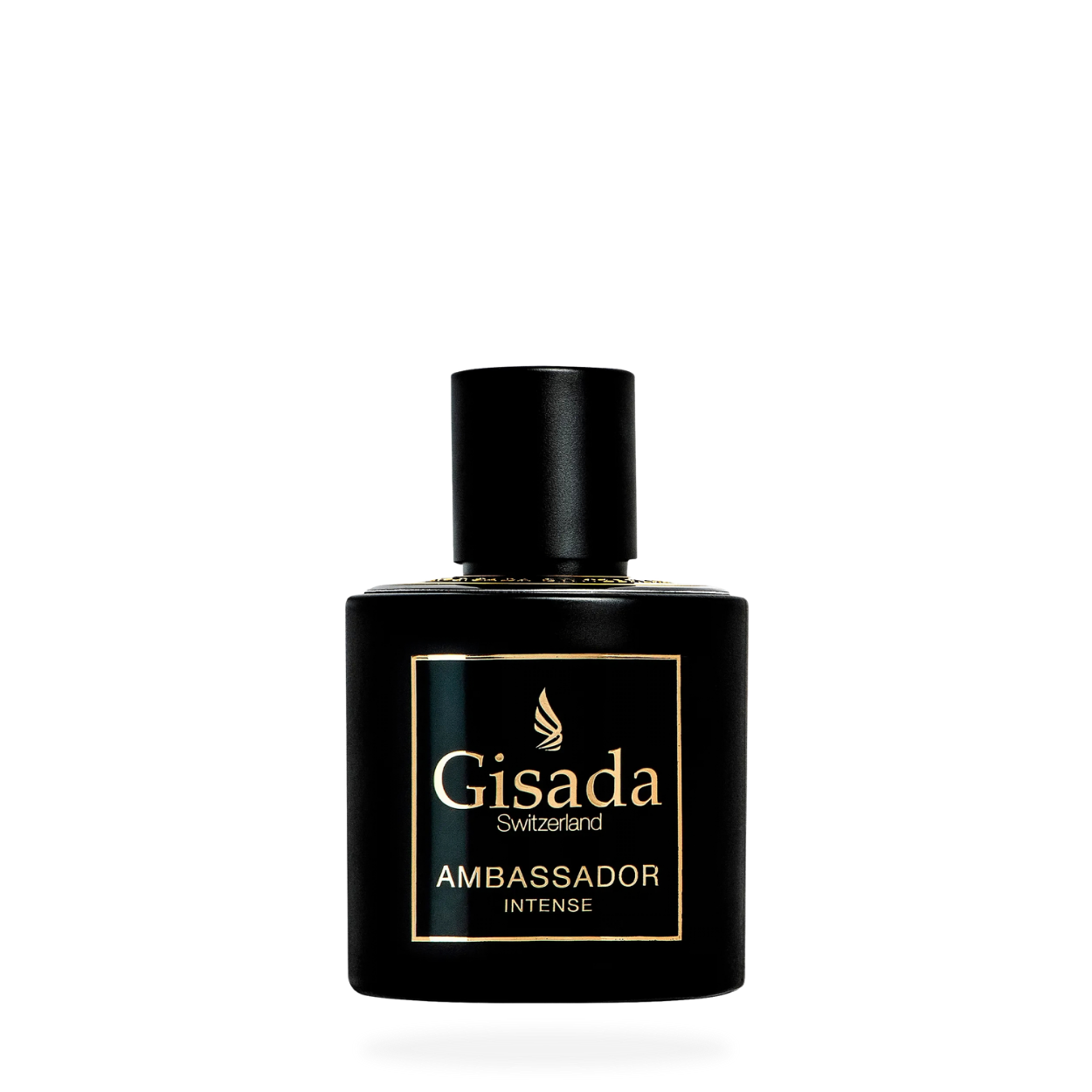 Ambassador Intense