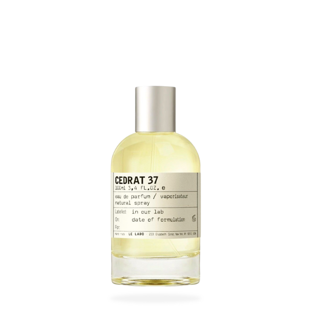 Cedrat 37 | Berlin City Exclusive