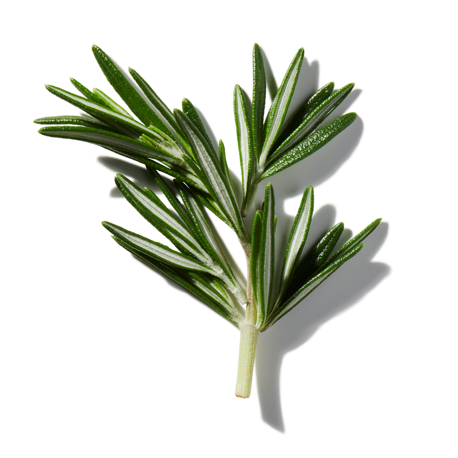 Rosemary