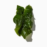Seagrass duftnoter