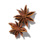 Star Anise