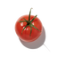 Tomato Leaves