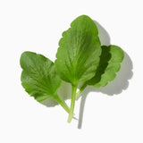 Violet Leaves duftnoter