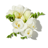 Yellow Freesia duftnoter