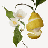 Hedione (light Jasmine) duftnoter